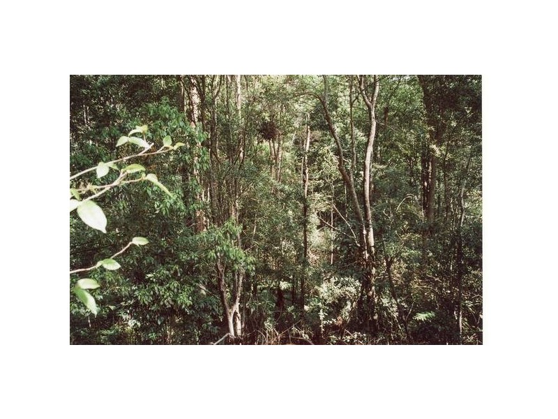 Uki NSW 2484