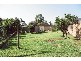 Kielvale NSW 2484