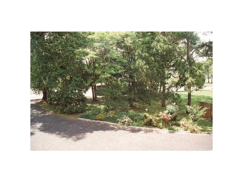 Murwillumbah NSW 2484