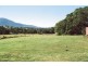 Tyalgum NSW 2484