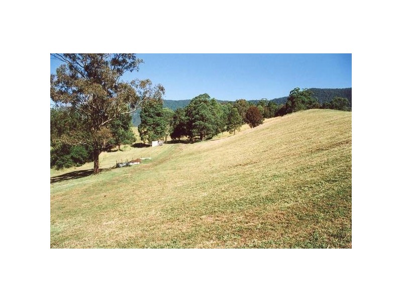 Tyalgum NSW 2484