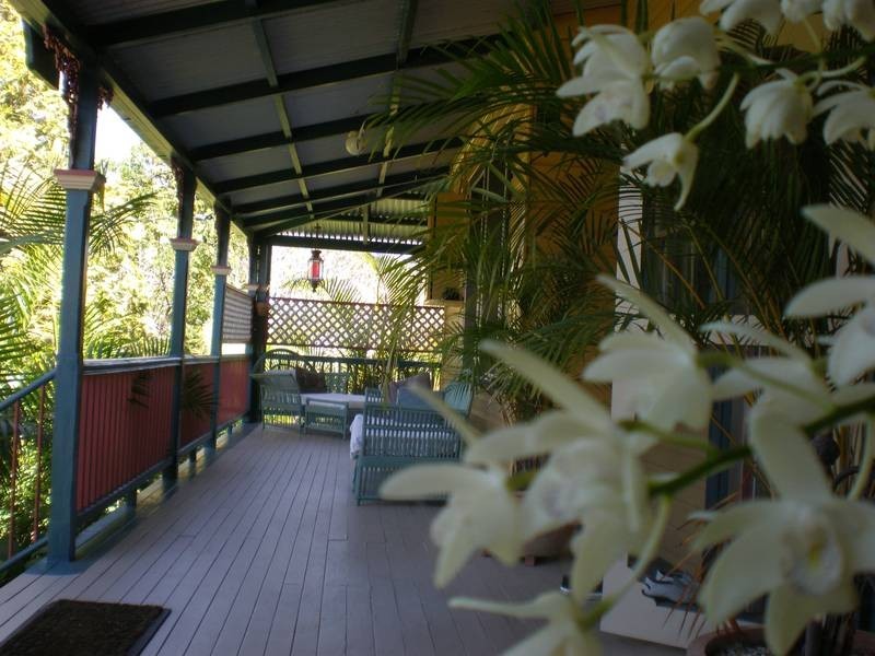 Murwillumbah NSW 2484