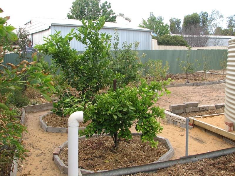 111 Standen Street, Murray Bridge SA 5253