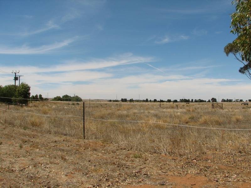 143 Princes Highway, Murray Bridge SA 5253