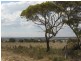 Lt 1 Sunnyside Road, Sunnyside via, Murray Bridge SA 5253
