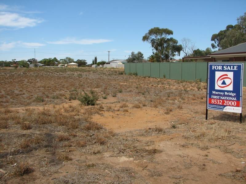 Lot 593 Todd Avenue, Murray Bridge SA 5253
