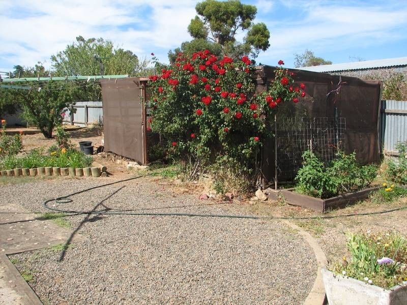 12 Cedar Avenue, Murray Bridge SA 5253