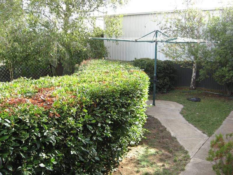 14 Raymond Road, Murray Bridge SA 5253