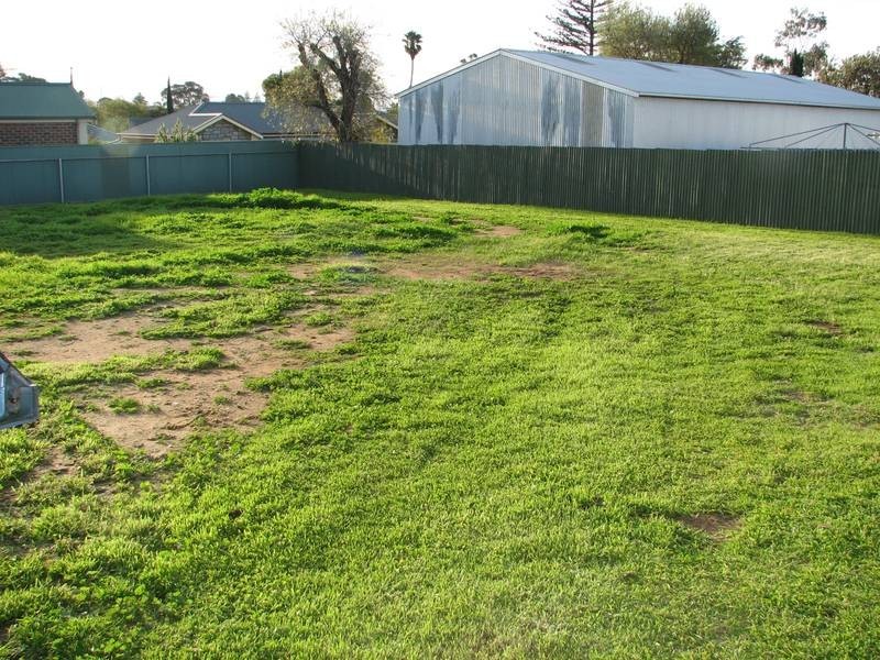 3 Montgomery Avenue, Murray Bridge SA 5253