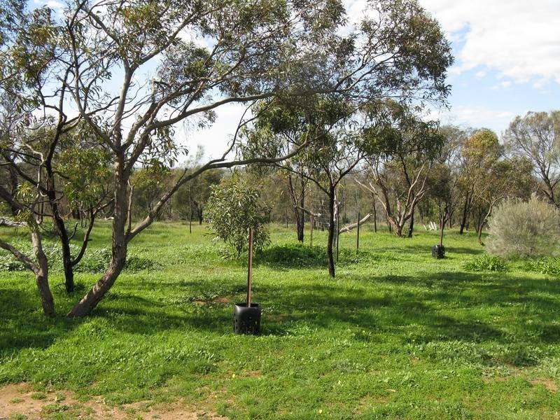 Sec 479 Browns Road – Frahns Road, Monarto SA 5254