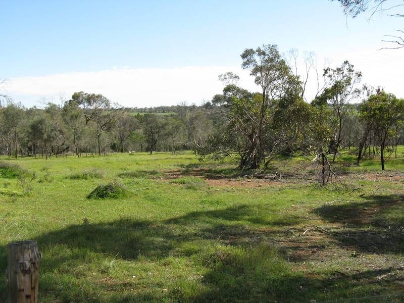 Sec 479 Browns Road – Frahns Road, Murray Bridge SA 5253