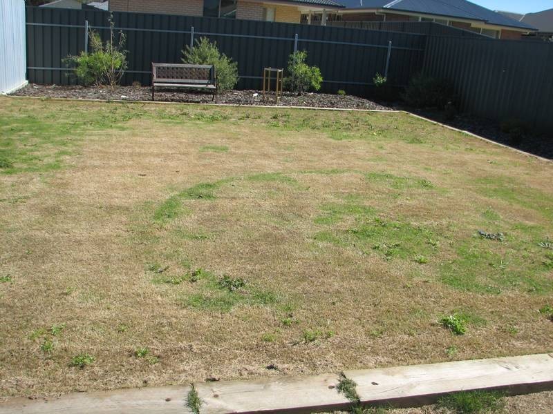 15 Cameron Court, Murray Bridge SA 5253
