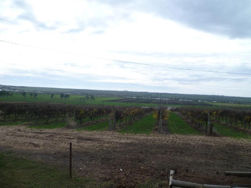 RSD 3138A Jervois Road, Woods Point SA 5253