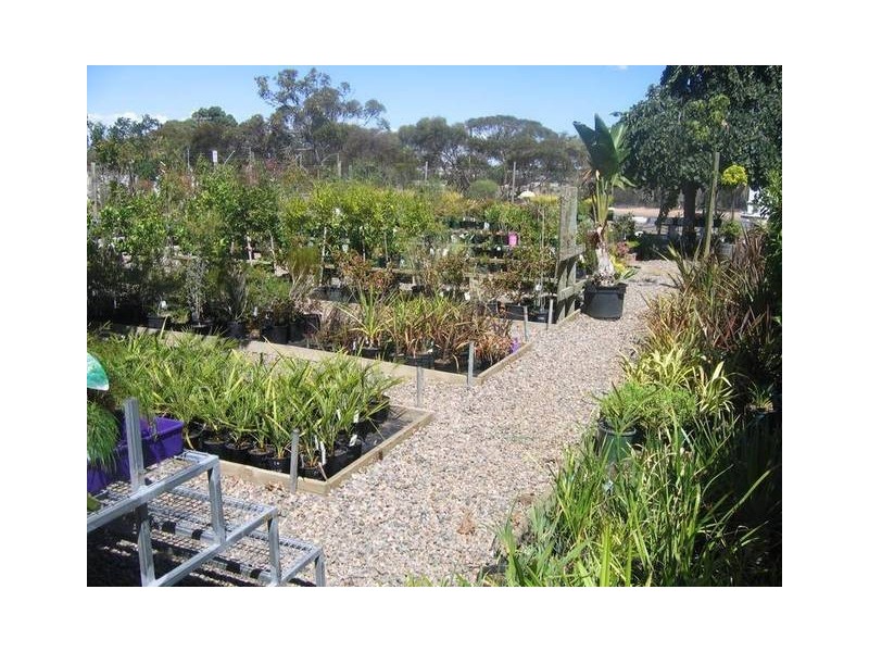 Adelaide Road, Murray Bridge SA 5253