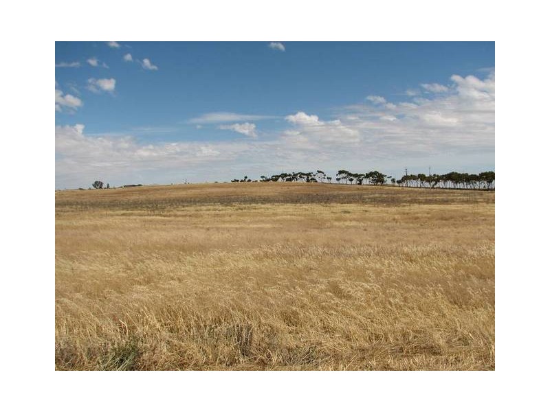 Lot 232 Queen Louisa Drive, Murray Bridge SA 5253