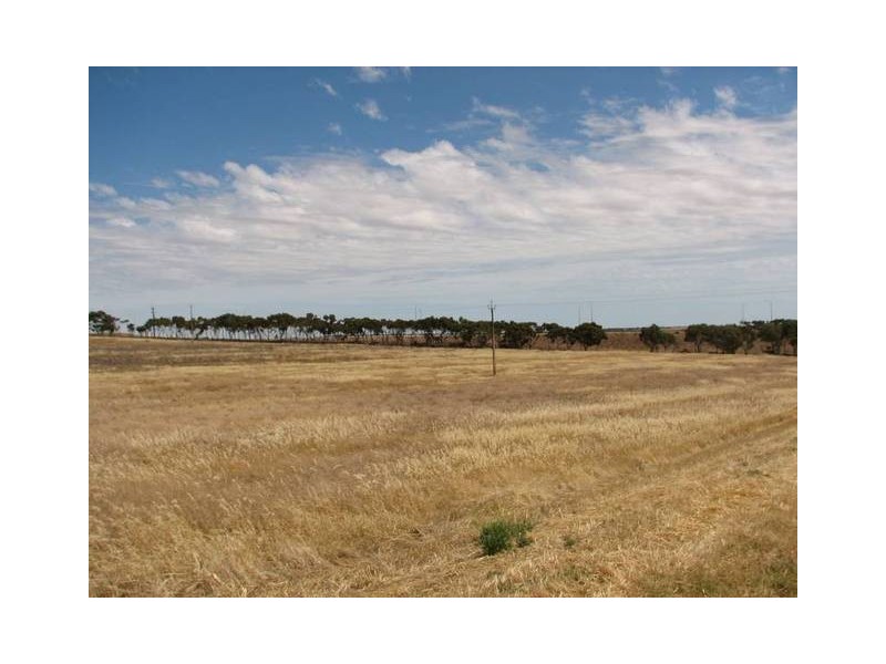 Lot 232 Queen Louisa Drive, Murray Bridge SA 5253