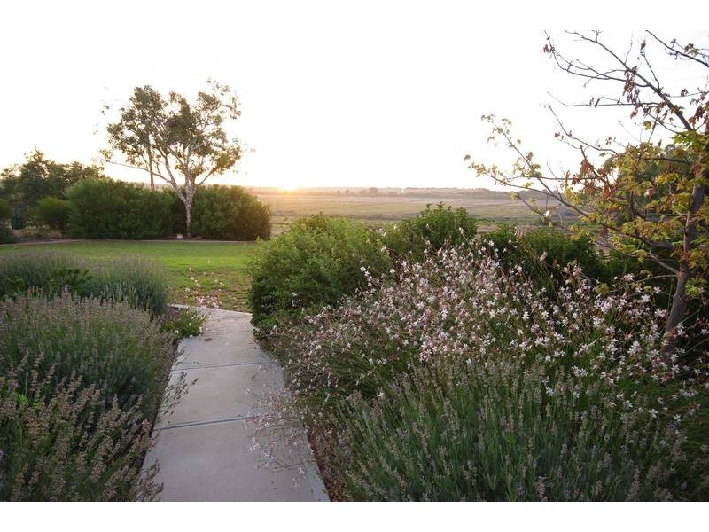 Lot 45 Carter Road, Murray Bridge SA 5253