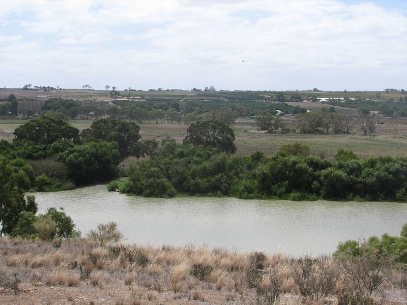 Lot 54 Murrawong Rd, Murrawong, Murray Bridge SA 5253