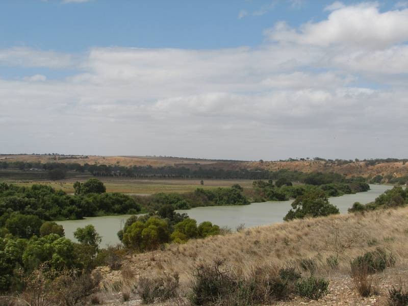 Lot 54 Murrawong Rd, Murrawong, Murray Bridge SA 5253