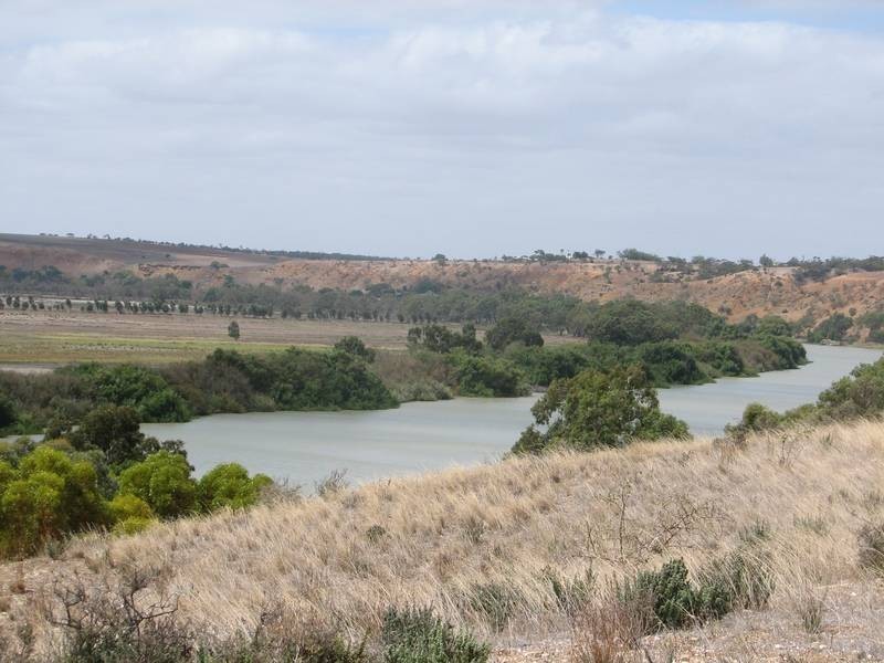 Lot 54 Murrawong Rd, Murrawong, Murray Bridge SA 5253