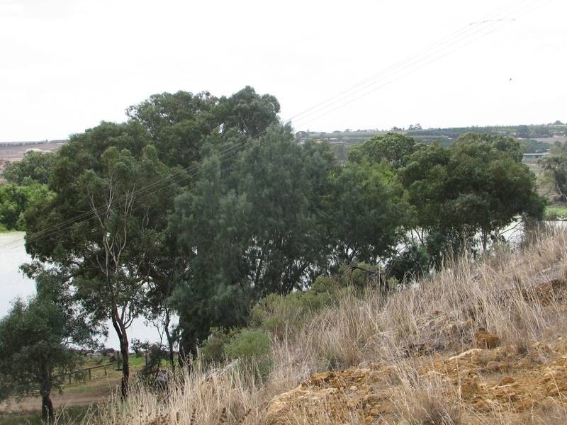 Lot 54 Murrawong Rd, Murrawong, Murray Bridge SA 5253