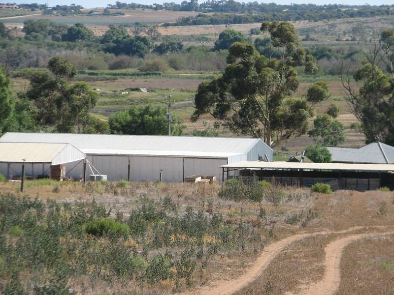 Lot 92 Pfeiler Road, Murray Bridge SA 5253