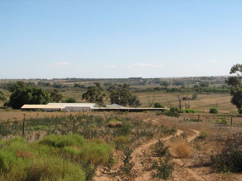 Lot 92 Pfeiler Road, Murray Bridge SA 5253