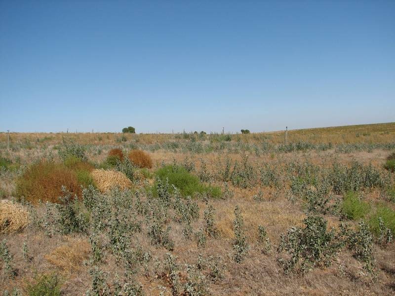 Lot 92 Pfeiler Road, Murray Bridge SA 5253