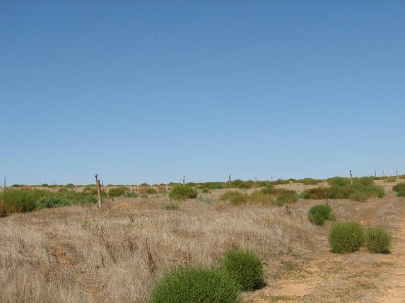 Lot 92 Pfeiler Road, Murray Bridge SA 5253