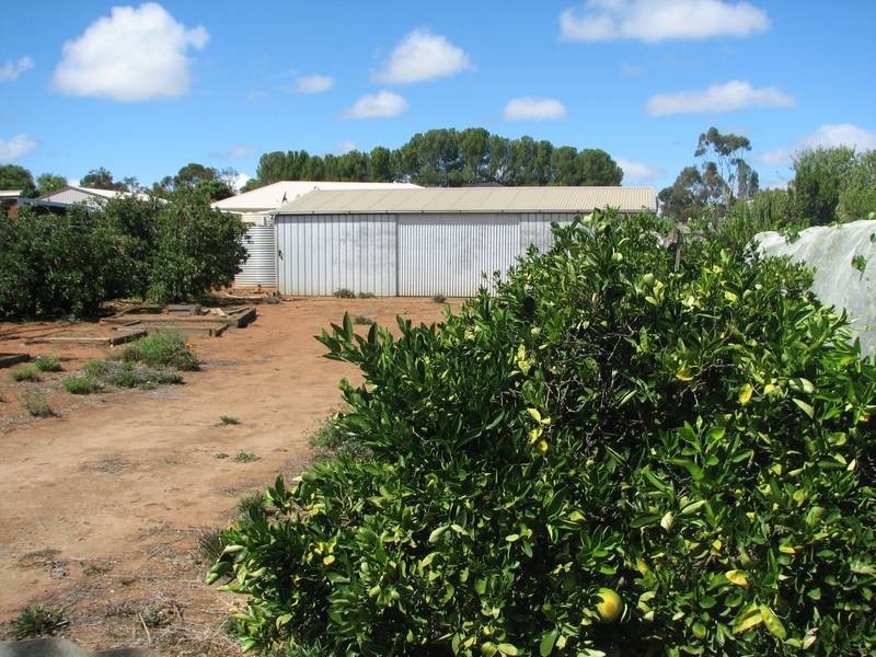 29 Mitchell Avenue, Murray Bridge SA 5253