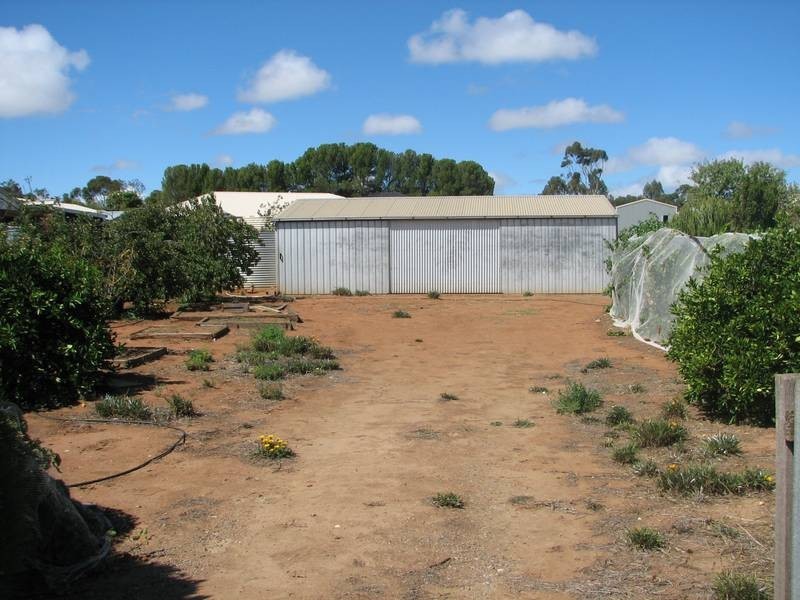 29 Mitchell Avenue, Murray Bridge SA 5253