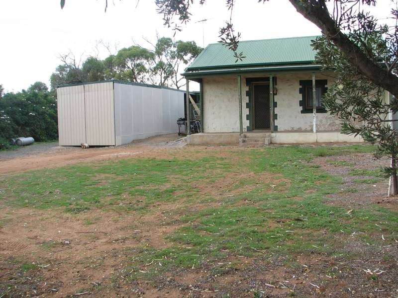 51 Willow Avenue, Murray Bridge SA 5253