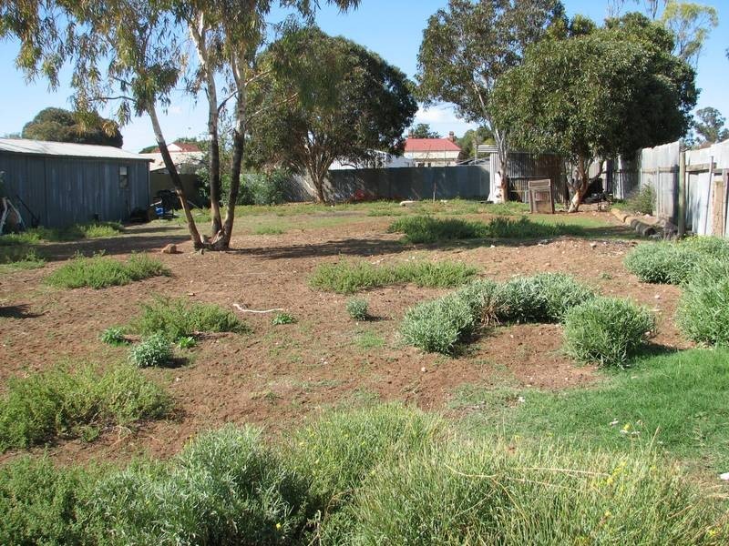 51 Willow Avenue, Murray Bridge SA 5253