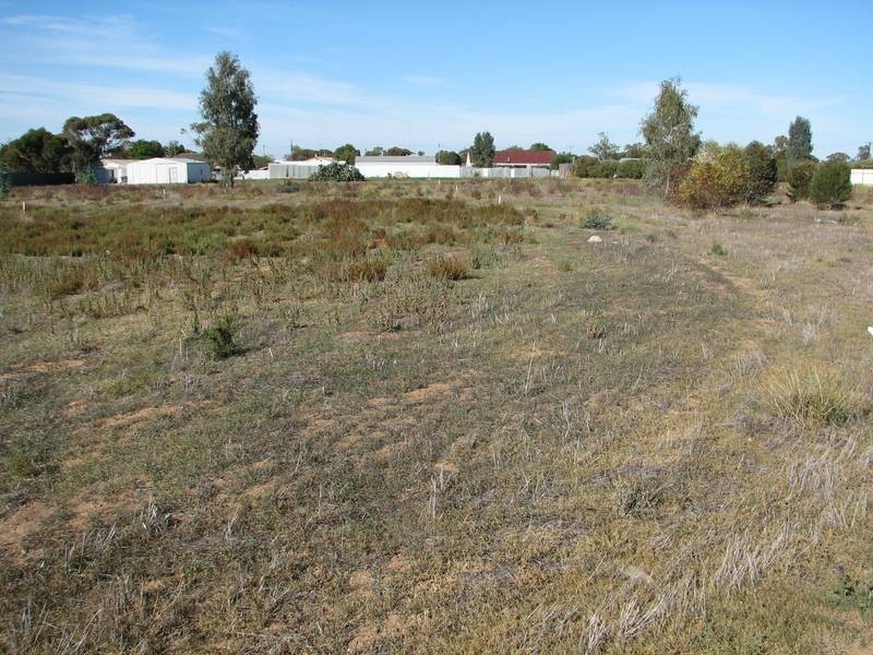 30 Warner Road, Murray Bridge SA 5253