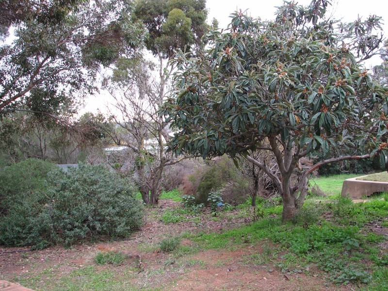 9-11 Jarvis Avenue, Murray Bridge SA 5253