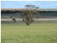 Lot 5 Mallee Sunset Estate Bowhill Road, Burdett via, Murray Bridge SA 5253