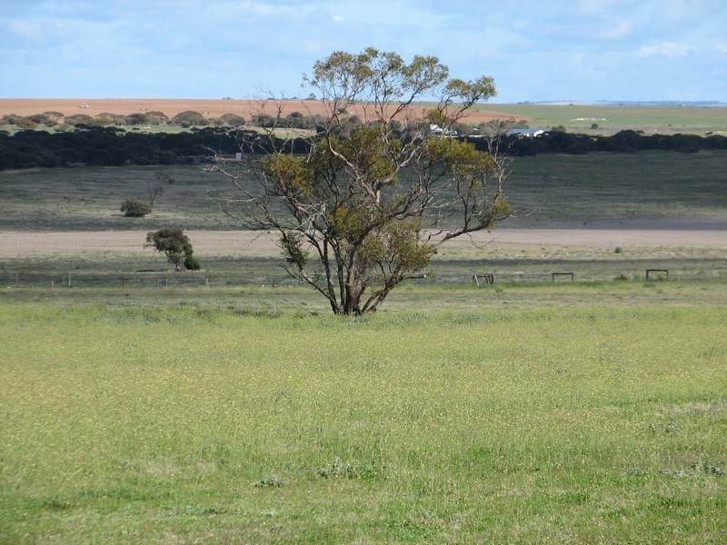 Lot 5 Mallee Sunset Estate Bowhill Road, Burdett via, Murray Bridge SA 5253