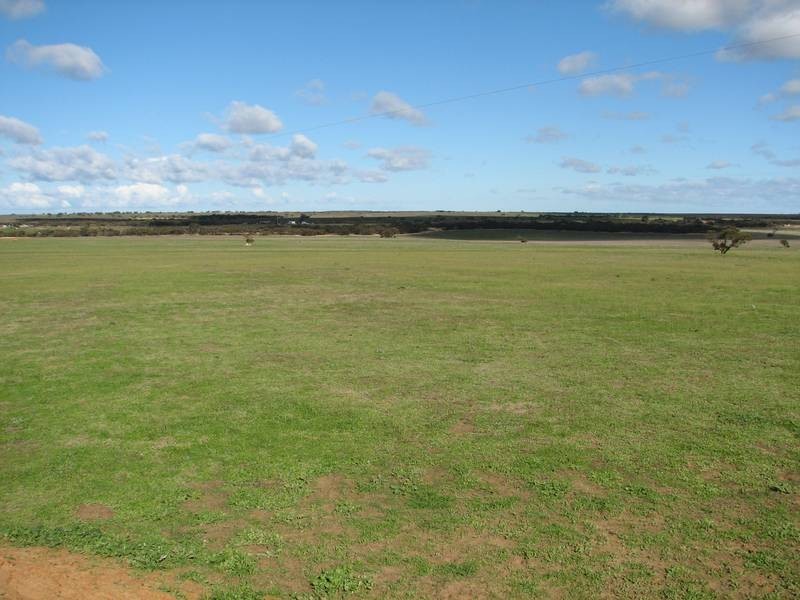 Lot 5 Mallee Sunset Estate Bowhill Road, Burdett via, Murray Bridge SA 5253