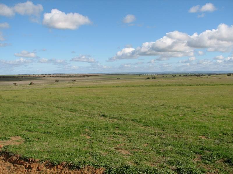 Lot 5 Mallee Sunset Estate Bowhill Road, Burdett via, Murray Bridge SA 5253