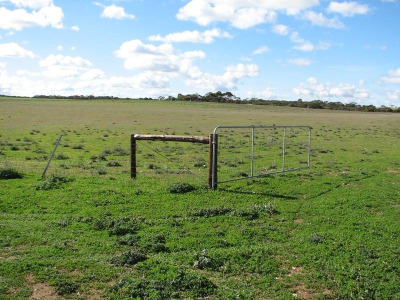 Lot 5 Mallee Sunset Estate Bowhill Road, Burdett via, Murray Bridge SA 5253