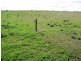 Lot 5 Mallee Sunset Estate Bowhill Road, Burdett via, Murray Bridge SA 5253