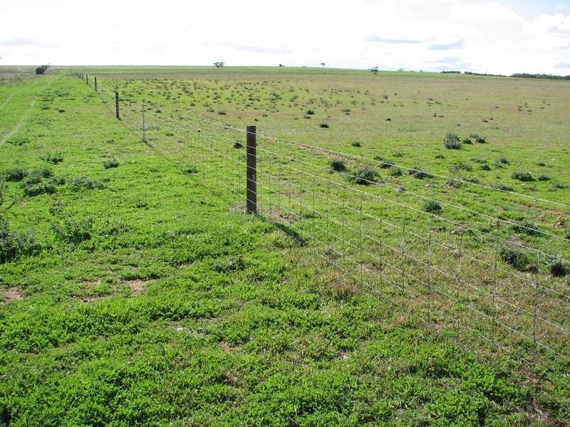 Lot 5 Mallee Sunset Estate Bowhill Road, Burdett via, Murray Bridge SA 5253