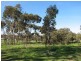 10-14 Bigmore Road, Murray Bridge SA 5253