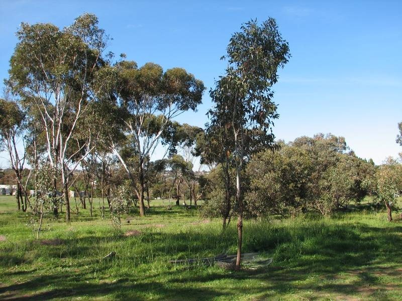 10-14 Bigmore Road, Murray Bridge SA 5253