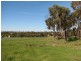 10-14 Bigmore Road, Murray Bridge SA 5253
