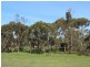 10-14 Bigmore Road, Murray Bridge SA 5253