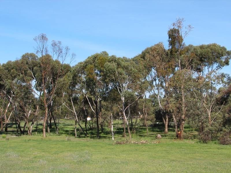 10-14 Bigmore Road, Murray Bridge SA 5253
