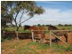 Lot 61 Kepa Road, Murray Bridge SA 5253