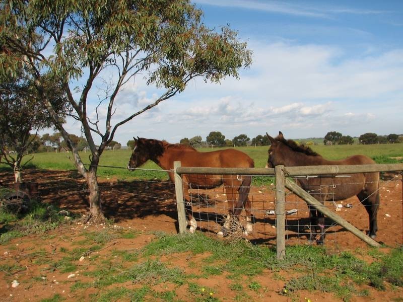 Lot 61 Kepa Road, Murray Bridge SA 5253