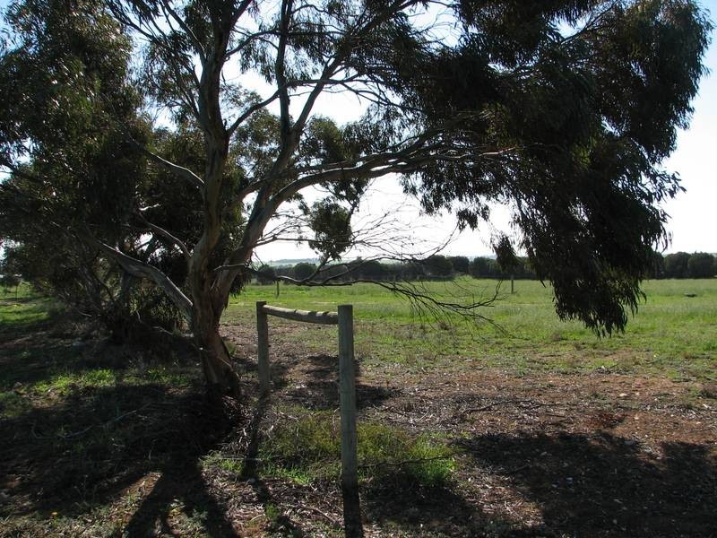 Lot 61 Kepa Road, Murray Bridge SA 5253